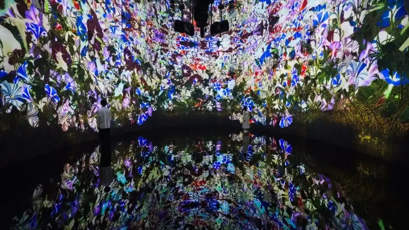 チームラボが「教会跡に増殖する無量の生命- A Whole Year...