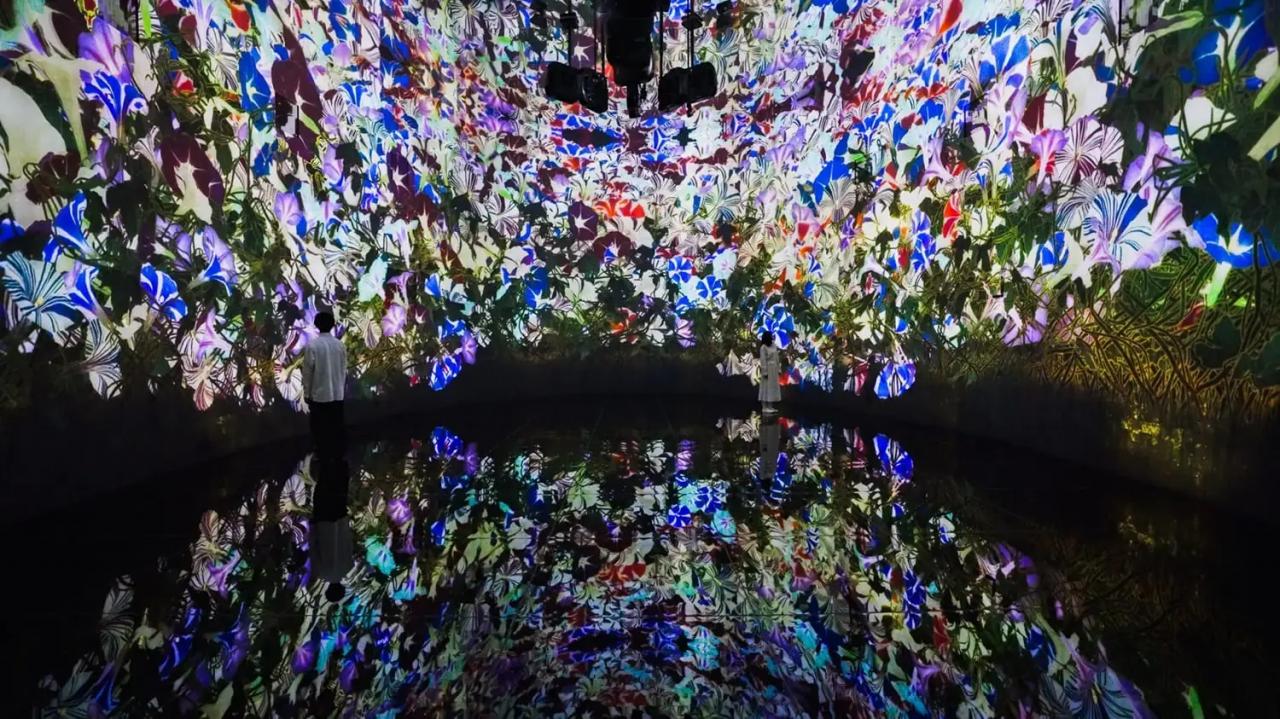 チームラボ《教会跡に増殖する無量の生命 - A Whole Year per Year》© チームラボ