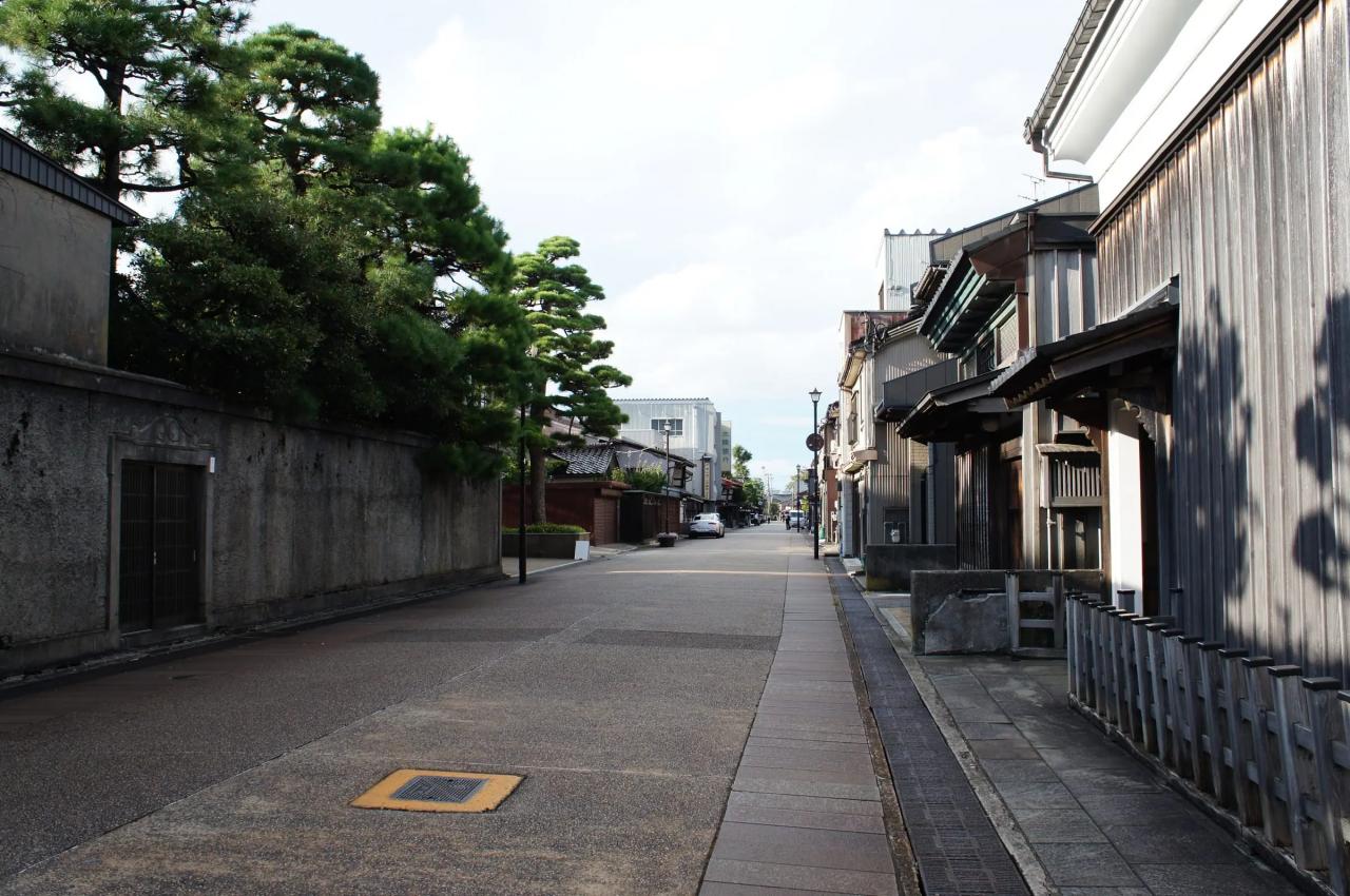 松の木と日本家屋が並ぶ街並み