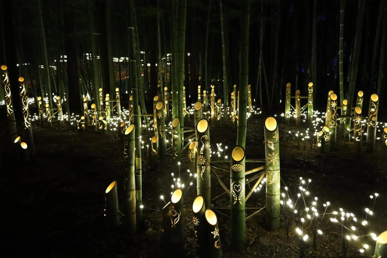 地面にたくさん設置された竹灯籠