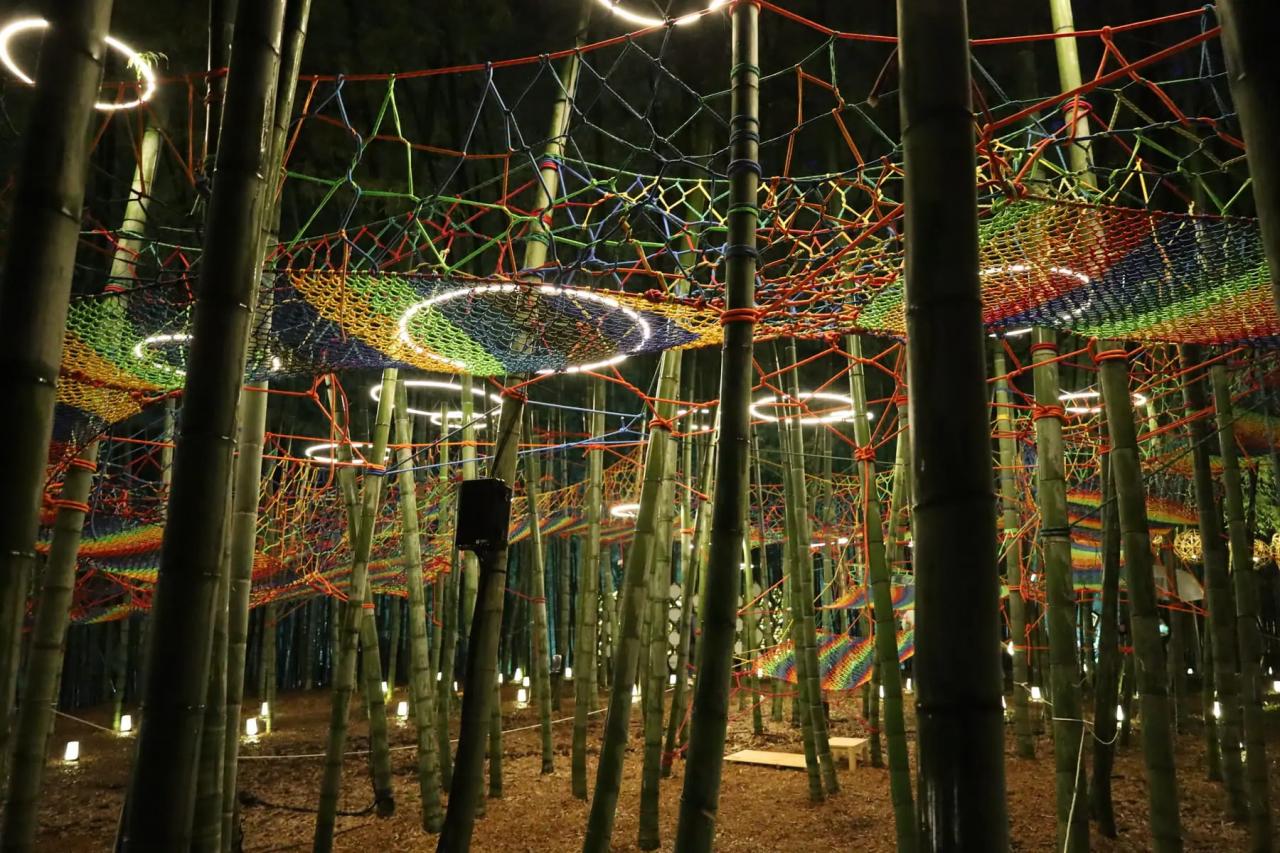 背の高い竹の間を縫うようにロープを張り巡らせた遊具