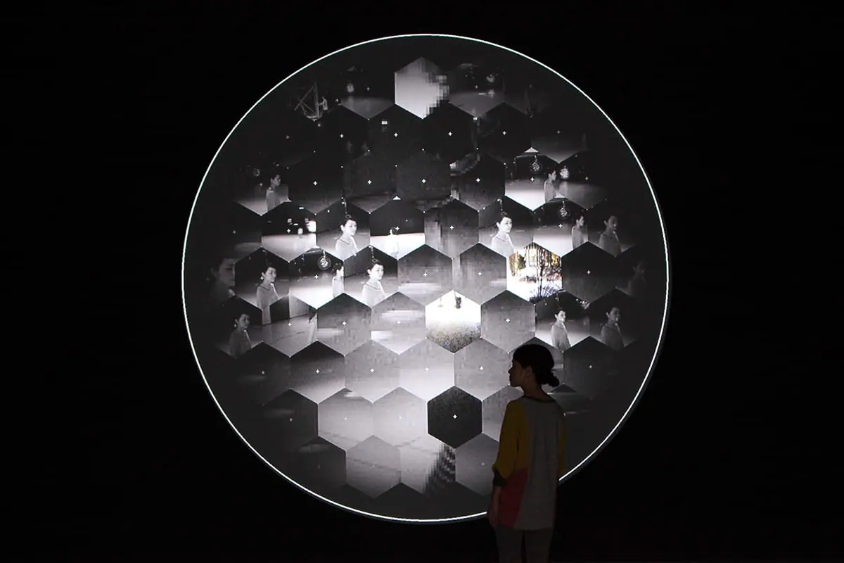 三上晴子《欲望のコード》2010/11年　撮影：木奥恵三