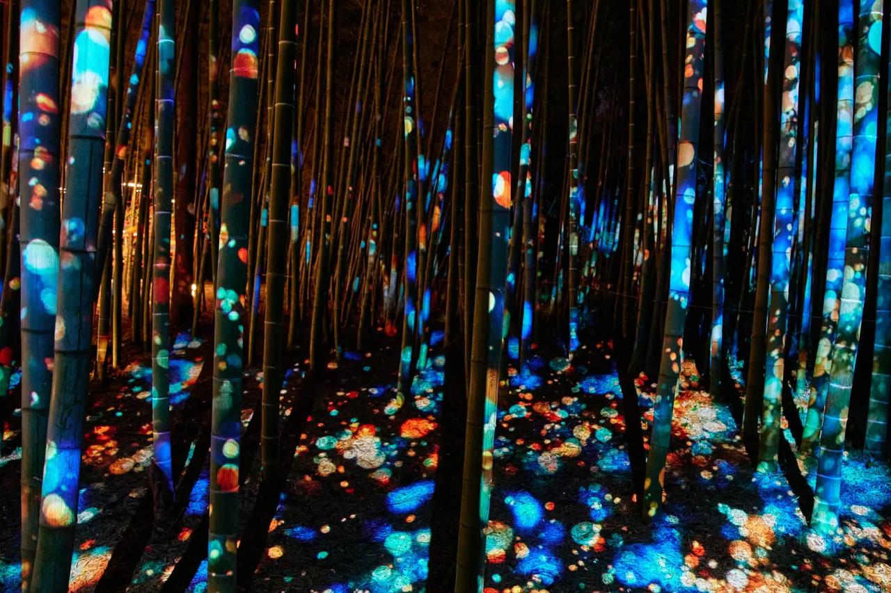 竹に投影されたプロジェクションマッピング作品