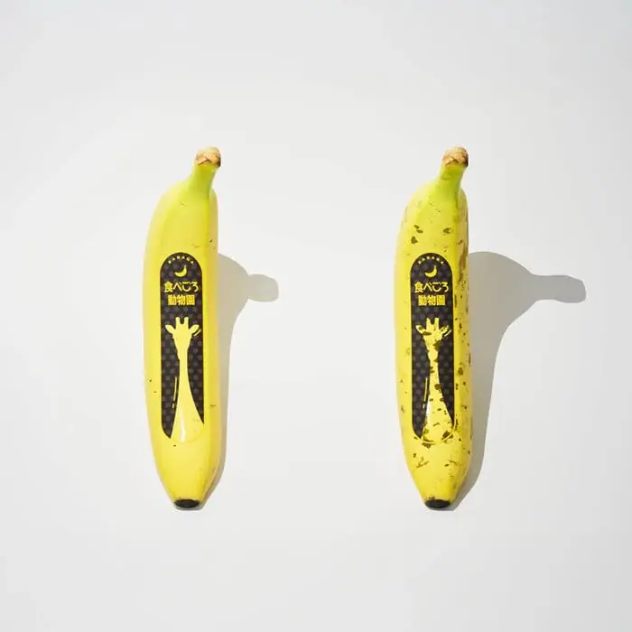 大賞受賞作品「食べごろ動物園」