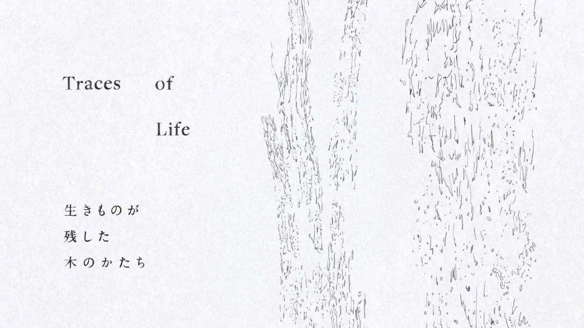 Traces of Life ― 生きものが残した木のかたち ―