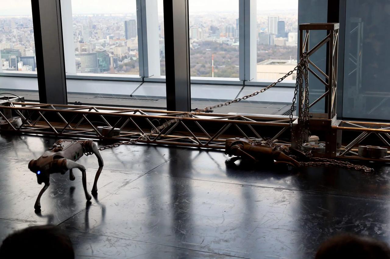 『鎖に繋がれた犬のダイナミクス』 藤堂高行