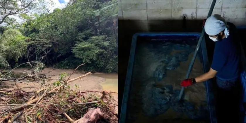 琉球藍のもののまわり 巡回展